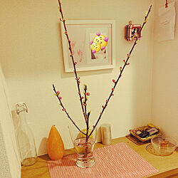 IKEA花瓶/ヒノキアロマウッド/桃の花木/桃の花飾りました/hacomo...などのインテリア実例 - 2022-02-26 12:13:43