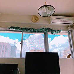 リビング/窓/1LDK/賃貸のインテリア実例 - 2018-07-29 12:34:34