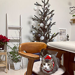 IKEAのクリスマスツリー/RCの皆さまに感謝♡/クリスマス/いつもありがとうございます♡/イベント参加♡...などのインテリア実例 - 2022-12-20 10:30:31