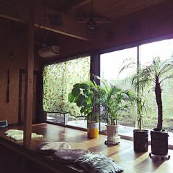 部屋全体/RC和歌山支部/計画性ゼロ/インスタにも同じ写真/なんせすぐに飽きる...などのインテリア実例 - 2016-12-12 13:04:01