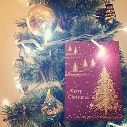 クリスマス/クリスマスツリーのインテリア実例 - 2012-12-24 23:40:59