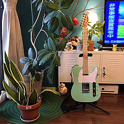 観葉植物/楽器/ギター/楽器のある部屋/IKEA...などのインテリア実例 - 2021-05-09 16:36:06