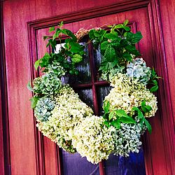 玄関/入り口/植物が好きのインテリア実例 - 2016-09-27 19:23:05