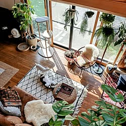 部屋全体/観葉植物/模様替え/猫/ねこのいる風景...などのインテリア実例 - 2023-10-02 10:41:20