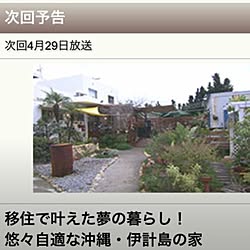 伊計島/ナチュラルな暮らし/ジャンクガーデン計画/庭の手入れ/ナチュラル...などのインテリア実例 - 2017-04-26 09:21:21