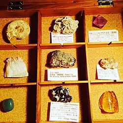 棚/鉱石/化石のインテリア実例 - 2014-04-02 23:07:37