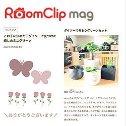 グリーンのある暮らし/Daiso/ダイソー/ありがとうございます♡/RoomClip mag 掲載...などのインテリア実例 - 2022-03-20 08:38:09