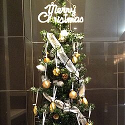 玄関/入り口/クリスマスツリーのインテリア実例 - 2012-12-11 00:27:26