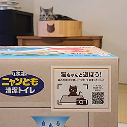 バス/トイレ/インテリア/猫トイレ/ねこのいる日常/ねこと暮らす...などのインテリア実例 - 2023-05-29 17:58:51