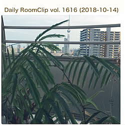 壁/天井/見て下さりありがとうございます/いつもありがとうございます♡/DailyRoomClip掲載/保存して頂きありがとうございますのインテリア実例 - 2018-10-15 00:30:19