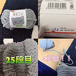 机/果てしなく遠い/単純計算8640円かかるらしい…遠い目/プフ編み挑戦/プフハンドメイド...などのインテリア実例 - 2017-02-17 02:31:35