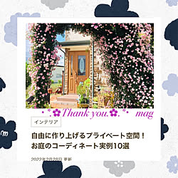 ポールズヒマラヤンムスク/バラのアーチ/薔薇/バラ/薔薇のアーチ...などのインテリア実例 - 2022-03-01 15:37:14