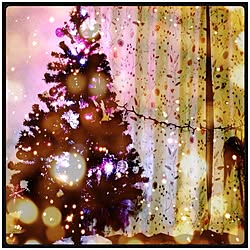 リビング/クリスマスツリーのインテリア実例 - 2012-12-04 08:45:36