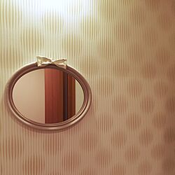 バス/トイレ/壁掛け鏡のインテリア実例 - 2016-03-23 19:14:50