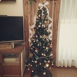 リビング/クリスマスツリーのインテリア実例 - 2013-12-04 14:27:50