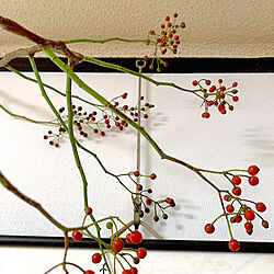 壁/天井/ノバラの枝飾りました/ドライフラワーのある暮らし/癒し/秋の訪れを感じます♡のインテリア実例 - 2023-10-08 16:15:17