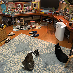 ホットカーペットはあったかいにゃー/ねこのいる風景/紙粘土工作で猫/白キジのん/夜中の猫...などのインテリア実例 - 2021-11-06 04:41:15