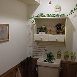 バス/トイレ/DIY/100均/セリア/植物のインテリア実例 - 2014-06-13 15:57:55