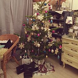 リビング/IKEAの生もみの木/クリスマスツリー♪のインテリア実例 - 2014-11-26 08:03:43