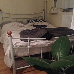 ベッド周り/北欧/IKEA/黒猫/猫...などのインテリア実例 - 2014-12-15 07:39:31