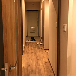 玄関/入り口/新居のインテリア実例 - 2018-08-14 12:30:13