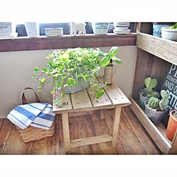 部屋全体/DIY/すのこ/観葉植物/3COINS...などのインテリア実例 - 2014-05-09 20:28:20