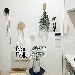 キッチン/Nor-Folk/MUUTO THE DOTS/エバーフレッシュ/ユーカリ...などのインテリア実例 - 2016-11-20 09:28:41