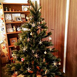 クリスマスツリー150cm/ベツレヘムの星/ノルディカニッセ/リビングのインテリア実例 - 2016-11-03 13:59:50