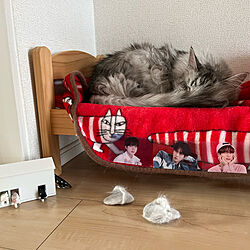 猫の毛で作る/人形用ベッド/IKEA/ベッド周りのインテリア実例 - 2022-06-03 01:00:00