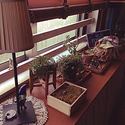 棚/DIY/多肉植物/雑貨のインテリア実例 - 2017-02-14 09:32:34