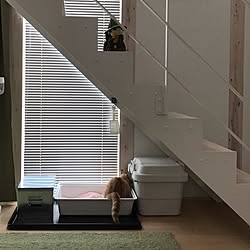 リビング/無印良品の家/IKEA/猫のトイレ/無印良品...などのインテリア実例 - 2017-04-08 09:02:21