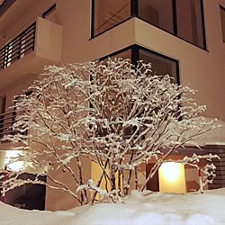 玄関/入り口/雪化粧/紅葉/外構/照明のインテリア実例 - 2017-02-28 08:06:15