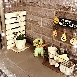 玄関/入り口/ハロウィン/ダイソー/セリア/造花...などのインテリア実例 - 2016-10-03 16:46:50