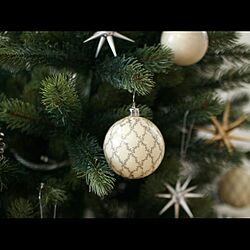 ベツレヘムの星/壁/天井/クリスマスツリー/オーナメント/IKEA...などのインテリア実例 - 2015-11-23 14:29:11