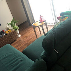 グリーンのソファ/お気に入りのカラー/平屋の家/IKEA/部屋全体のインテリア実例 - 2021-06-20 12:22:31