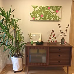 玄関/入り口/ノーチェ家具/ノーチェ/観葉植物/クリスマスディスプレイ...などのインテリア実例 - 2016-12-18 09:44:55