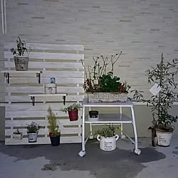 玄関/入り口/ダイソー/DIY/セリア/キャンドゥ...などのインテリア実例 - 2017-04-17 19:52:32