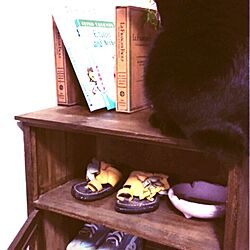 棚/黒猫chan/猫との生活/ナチュラル/DIY...などのインテリア実例 - 2015-05-05 19:26:36