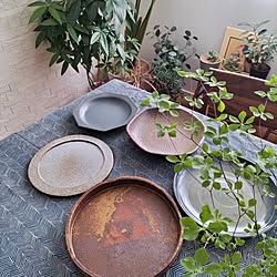 机/お気に入りの器/観葉植物のある暮らし/みどりのある暮らし/楽しく暮らす...などのインテリア実例 - 2023-05-06 16:16:40