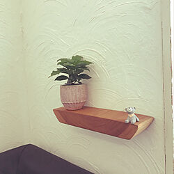 しっくい壁DIY/コーヒーの木/観葉植物/DIY/壁棚...などのインテリア実例 - 2021-07-01 22:29:51