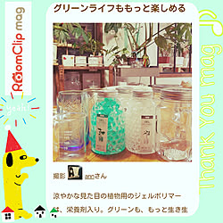 キッチン/セリア水性ニス/観葉植物/海外インテリアに憧れる/DIY...などのインテリア実例 - 2018-09-08 08:43:48