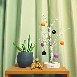 リビング/ハロウィン/観葉植物/ダイニング/加湿器...などのインテリア実例 - 2023-11-02 22:48:00