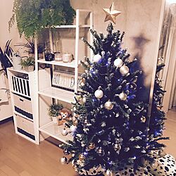 棚/クリスマスツリー150cm/IKEA/観葉植物/北欧のインテリア実例 - 2016-12-22 00:13:33