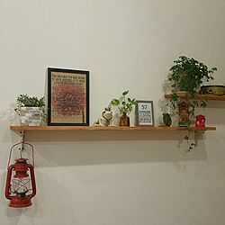 棚/植物/カエルの置物/飾り/飾り棚DIY...などのインテリア実例 - 2017-05-20 21:42:52