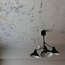 壁/天井のインテリア実例 - 2012-04-15 14:53:24