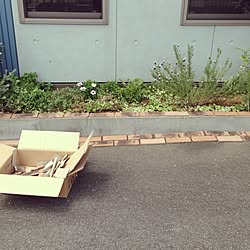 玄関/入り口/DIY/手作り/ブログやってます♪/花壇...などのインテリア実例 - 2014-05-22 10:45:49