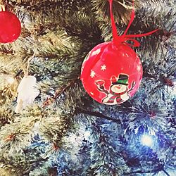 リビング/クリスマス準備♡のインテリア実例 - 2014-11-16 20:34:36