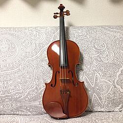 楽器/violinのインテリア実例 - 2016-12-02 02:20:48