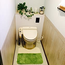 バス/トイレ/ペンキ塗り/DIY/観葉植物/ダイソーのインテリア実例 - 2017-01-14 16:12:59