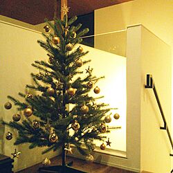リビング/クリスマスツリー♡/IKEA/ダイソーのインテリア実例 - 2015-11-08 22:34:07